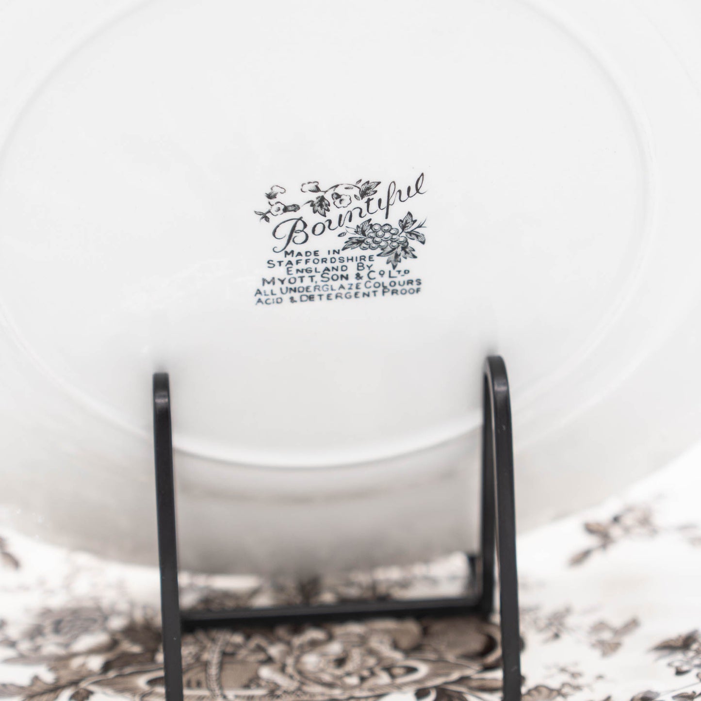 Vintage Dinner Plates "Bountiful" in Brown - Myott - 1950s - Per Plate - The Vintage Tales